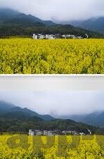 win比分足球比分即时-赢在指尖，Win比分开启足球比分即时新体验